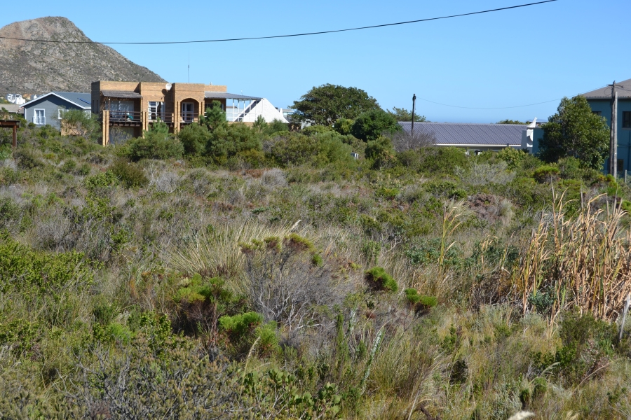 0 Bedroom Property for Sale in Pringle Bay Western Cape